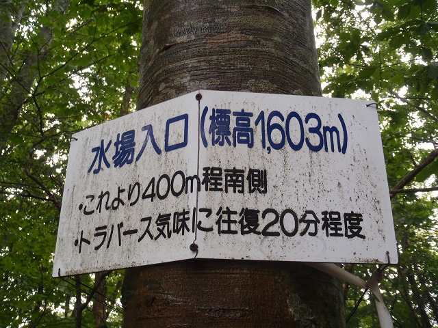 白峰南陵 地味だけど超キツイ笹山ダイレクト尾根!_c0147398_204176.jpg