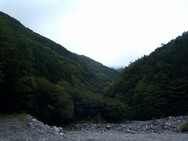 白峰南陵 地味だけど超キツイ笹山ダイレクト尾根!_c0147398_2051288.jpg