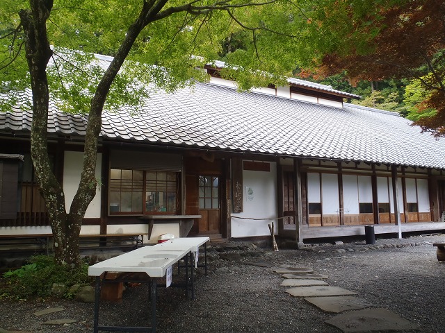 白峰南陵 地味だけど超キツイ笹山ダイレクト尾根!_c0147398_2061690.jpg