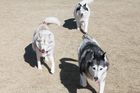 ♪ SNAP×SNAP ♪_c0161772_2118834.jpg