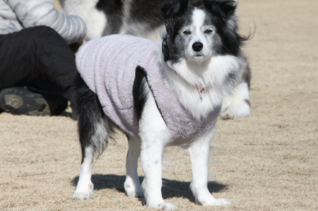 ♪ SNAP×SNAP ♪_c0161772_21255395.jpg