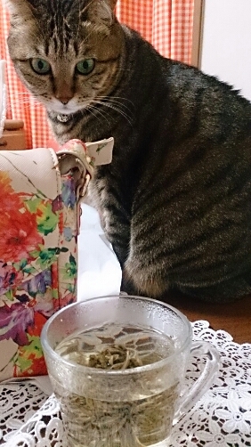 茉莉仙桃 ゆったりお茶の時間_f0220919_19373990.jpg