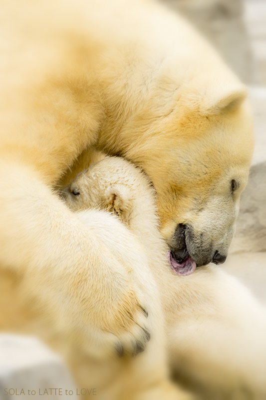 497 LALA & BABY_c0267072_21245582.jpg