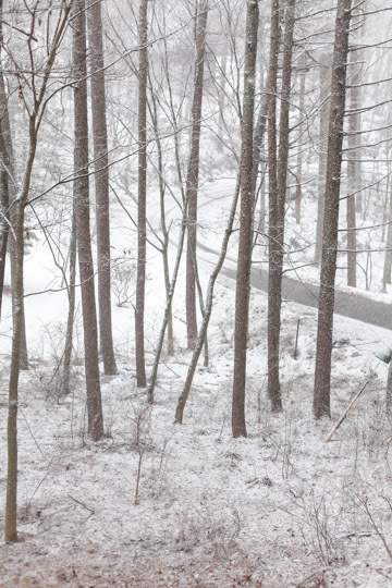 さくさく、ジューシー: 季節の果物のタルト (3) 春編_d0008146_23271050.jpg