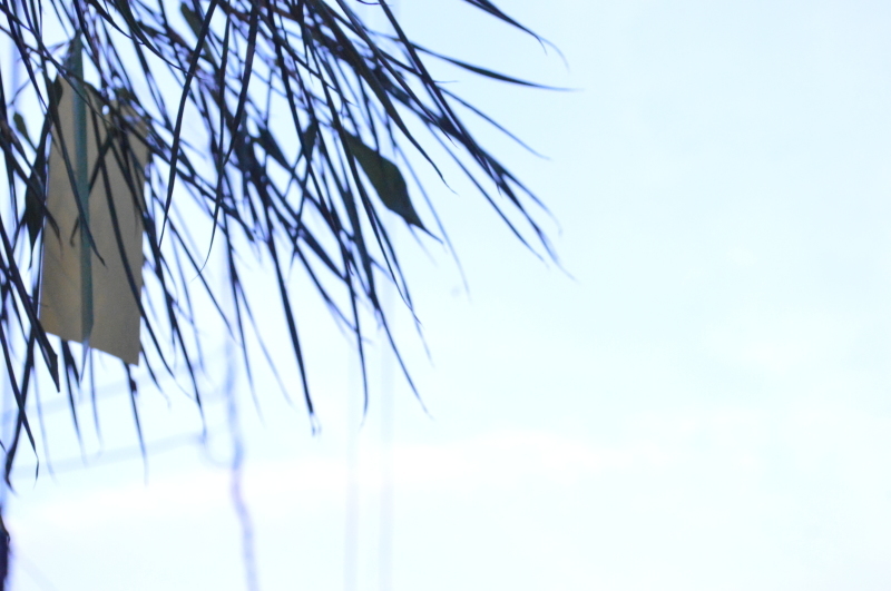 ame色 Blue Sky_d0233024_10054951.jpg