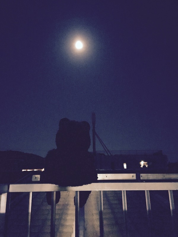 大きなお月見。あたくださいませかねあ_f0235174_22230511.jpeg