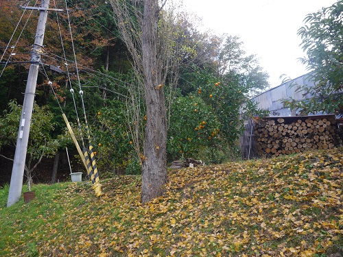 11月分のメルマガ発行します! _e0009772_2327143.jpg