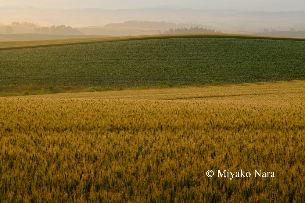 Fujifilm Xシリーズ体験イベント in 札幌 無事終了です_e0083559_3194963.jpg