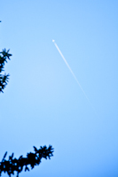 november : 2_f0119425_16455506.jpg