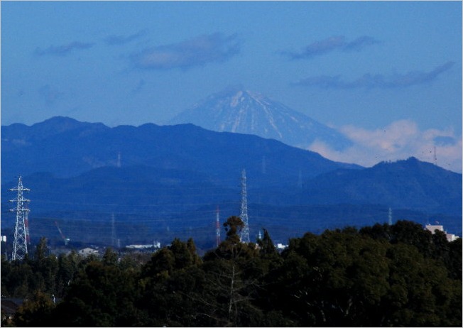 ☆ 浜松フラワーパークから見えた富士山など ☆_f0181173_2128959.jpg