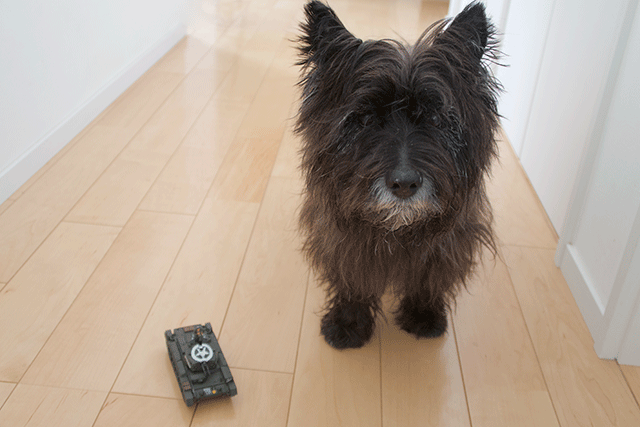 プラモデルを作ろう! イギリス クルセーダー 対空戦車(タミヤ)編_e0176691_1932769.png