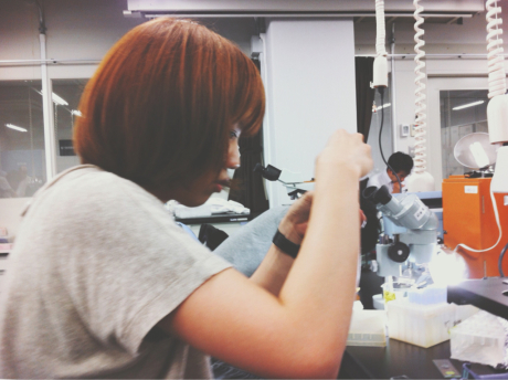 2/8 (ま)理系大学生には高級教科書が付きまとう_a0343323_11111111.jpg