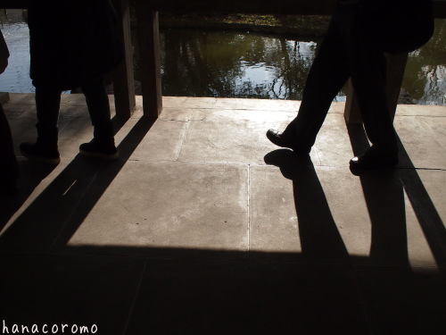 神奈川県立近代美術館 その2_e0211786_15593399.jpg