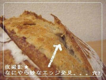 【Coupe Junkies】Campagne レッスン3 酵母編_a0348473_13103023.jpg