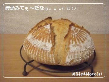 【Coupe Junkies】Campagne レッスン3 酵母編_a0348473_13103053.jpg