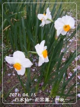 【Coupe Junkies】Campagne レッスン3 酵母編_a0348473_13103056.jpg