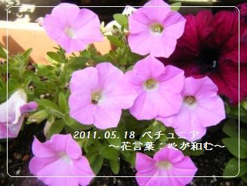 【Coupe Junkies】Tin Bread レッスン4-2_a0348473_13115611.jpg