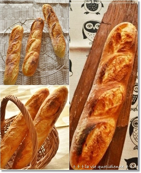 今まで作った1年で100カウントのパン 5Days Art Challenge_a0348473_14253655.jpg