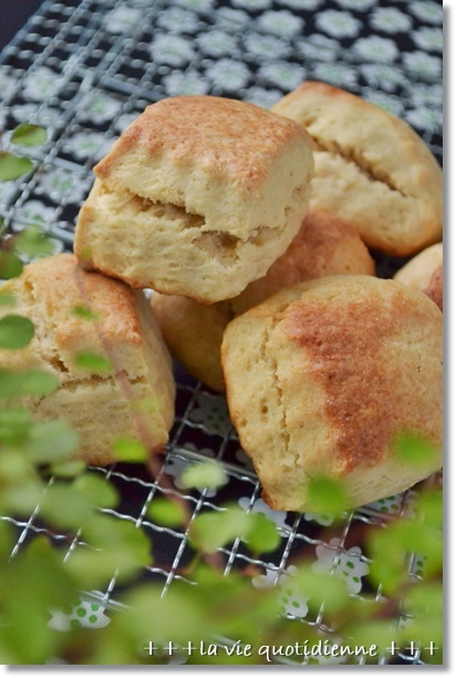 そういえば…酵母スコーン焼いてたんだった!_a0348473_14261817.jpg