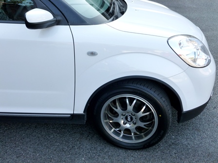 ふくやま☆ばら祭 2016_b0209919_21453913.jpg