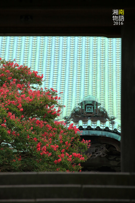 湘南物語 ~夏のなごりの鎌倉散歩~_b0195043_23314914.jpg