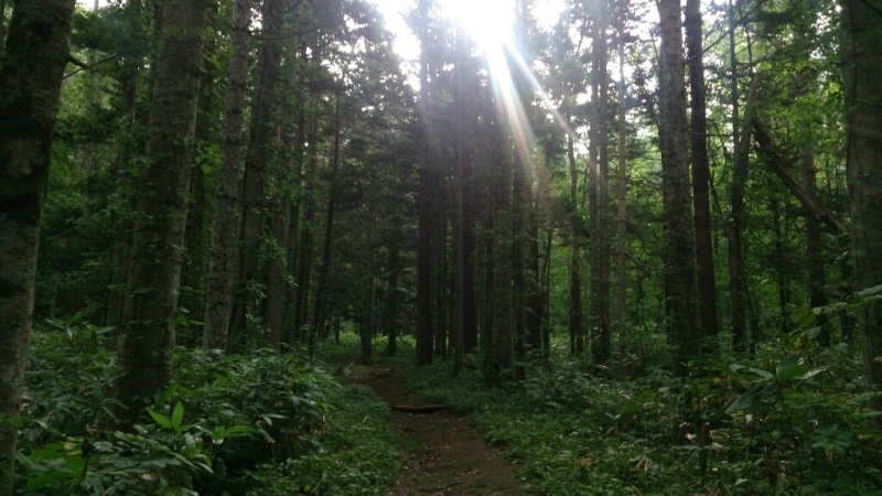 初! 羊蹄山!! No.1_f0371701_13402885.jpg