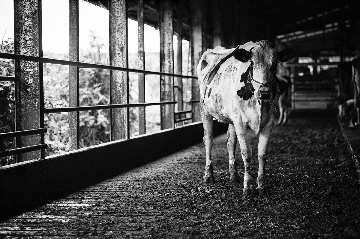 time flies_b0123136_17185281.jpg