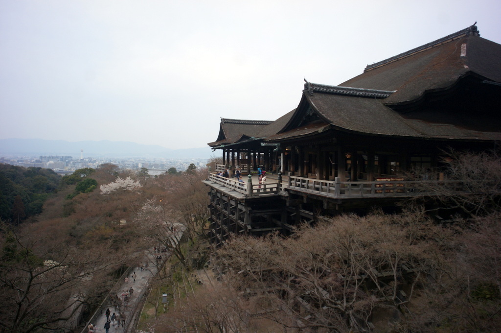 伏見稲荷の鳥居とAMPELMANN (2016春)_c0180686_00514683.jpg