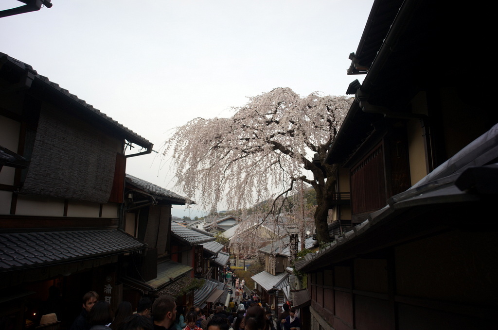 伏見稲荷の鳥居とAMPELMANN (2016春)_c0180686_00515482.jpg