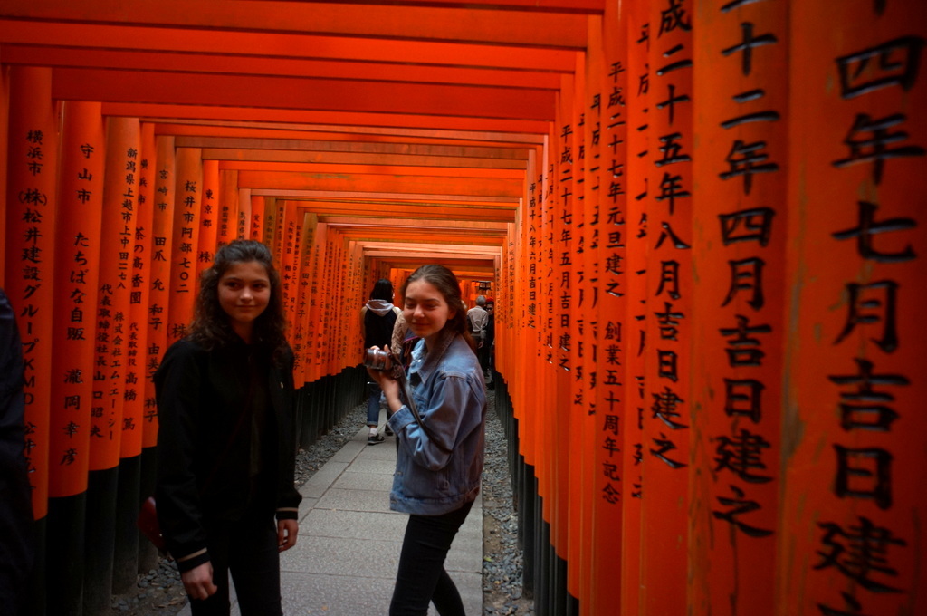 伏見稲荷の鳥居とAMPELMANN (2016春)_c0180686_00525842.jpg