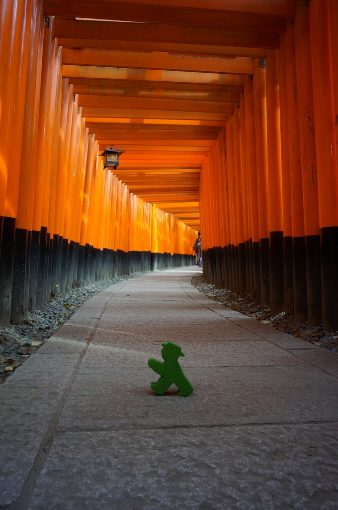 伏見稲荷の鳥居とAMPELMANN (2016春)_c0180686_00554151.jpg
