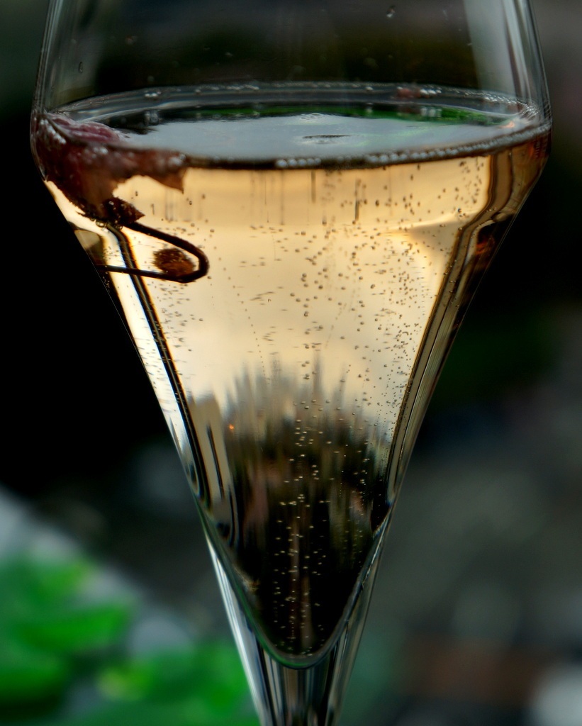 東京Vol.14 (2016年春)マルコスたち帰国の朝_c0180686_07451495.jpg