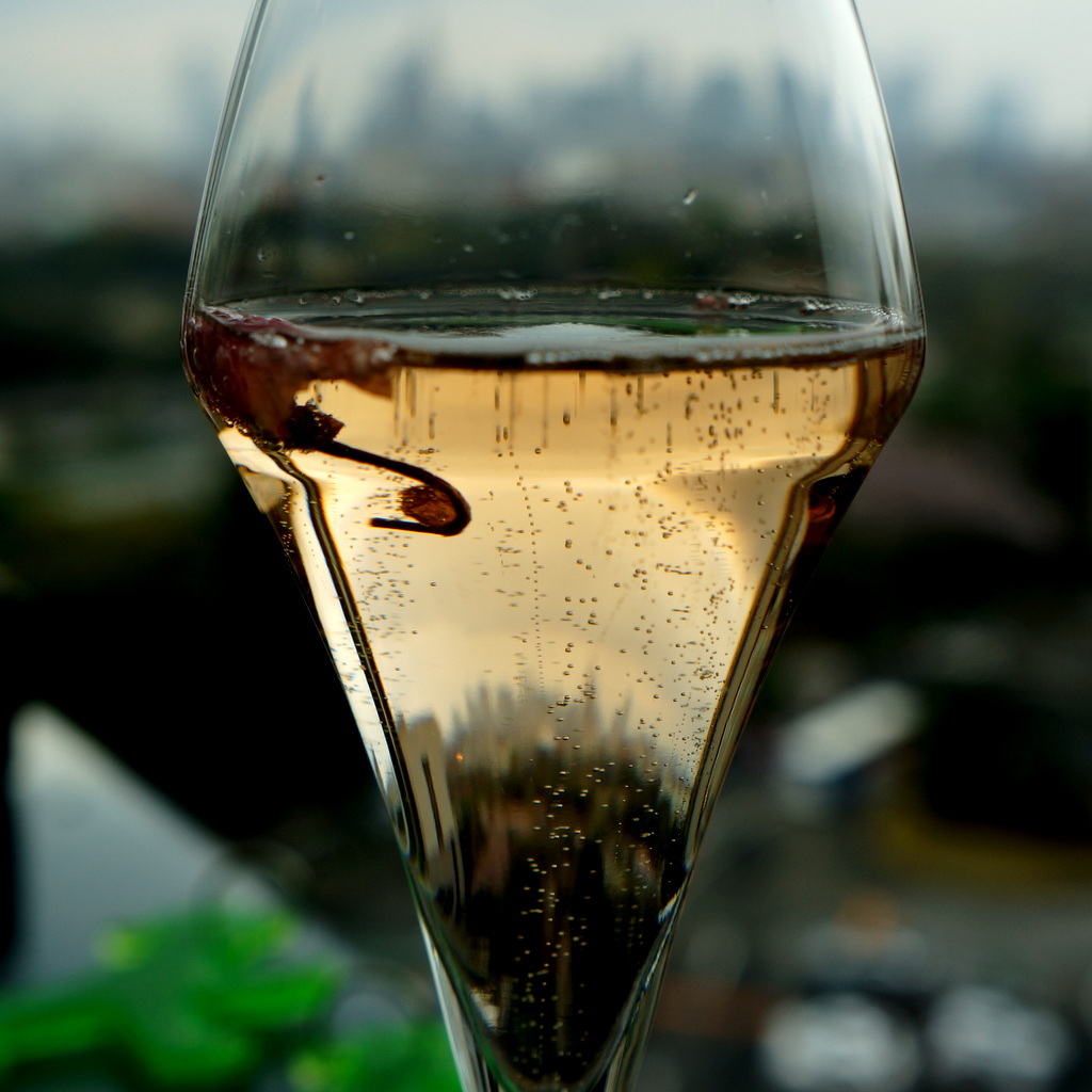 東京Vol.14 (2016年春)マルコスたち帰国の朝_c0180686_07452415.jpg