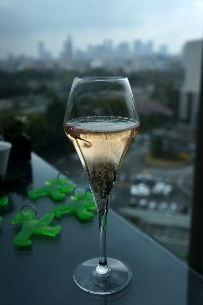 東京Vol.14 (2016年春)マルコスたち帰国の朝_c0180686_07455307.jpg