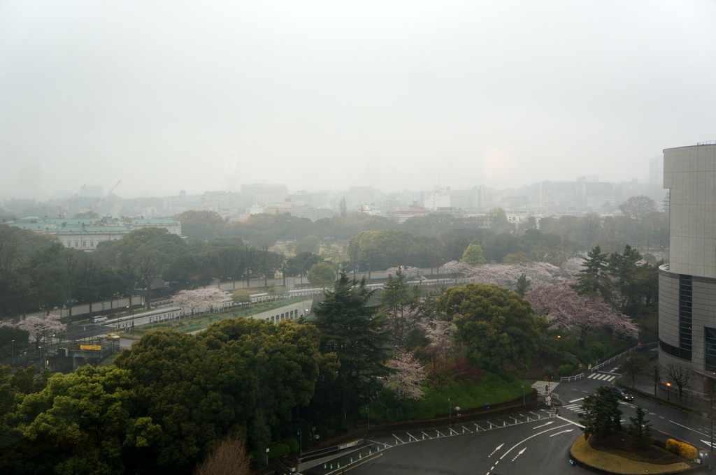 東京Vol.14 (2016年春)マルコスたち帰国の朝_c0180686_07482953.jpg