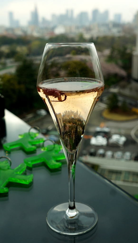 東京Vol.14 (2016年春)マルコスたち帰国の朝_c0180686_07485682.jpg