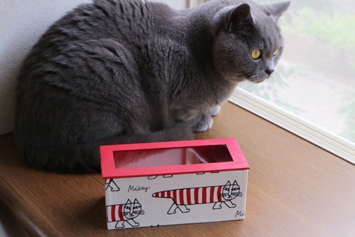 カルトナージュ 生徒さん作品_b0176999_09311174.jpg