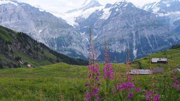 カルトナージュ 生徒さん作品_b0176999_09313852.jpg