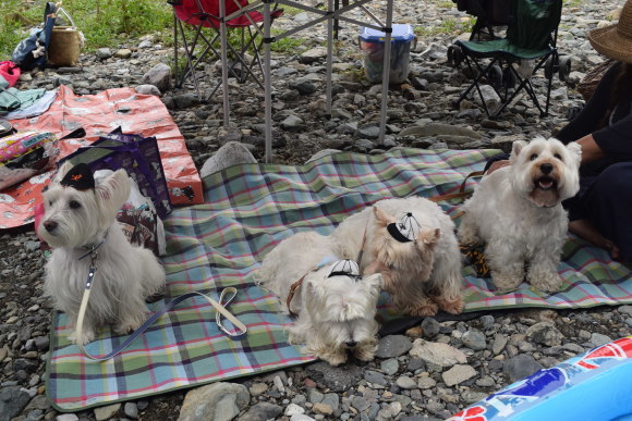 ♪ ダニエル 秩父 ウォーターパークシラヤマへ~(*^。^*) ♪_b0242873_22181151.jpg