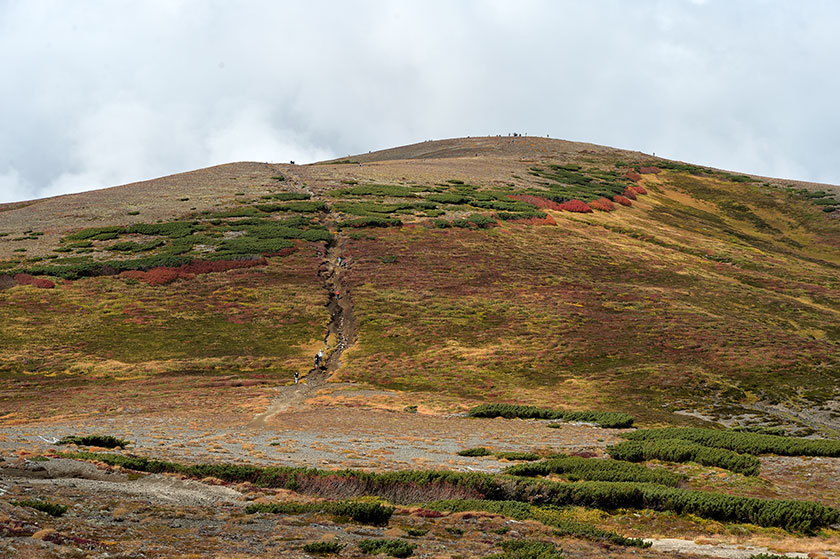 大雪山紅葉の旅 プチ縦走(後編) 2017/09/16_f0109977_09025665.jpg