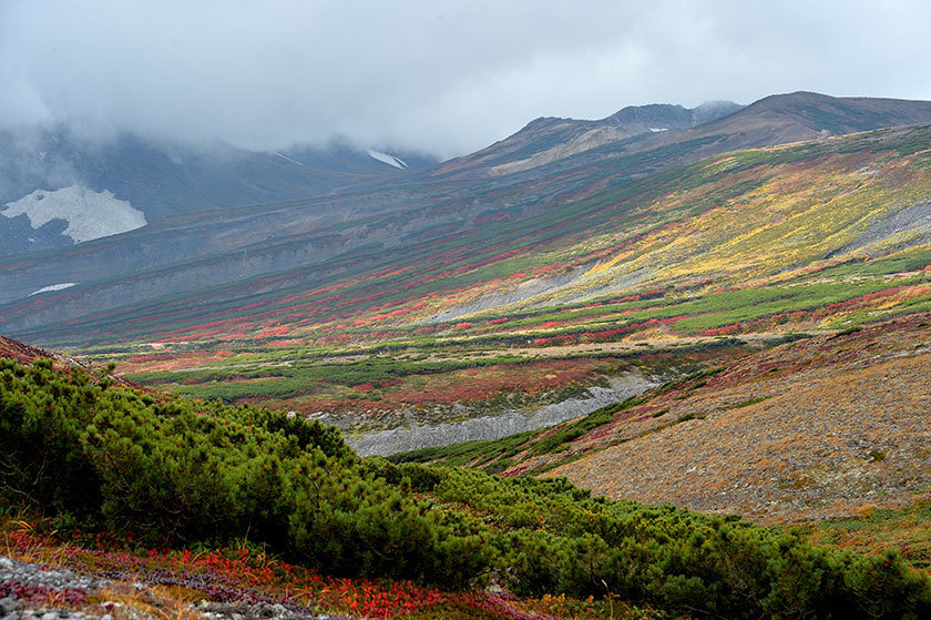 大雪山紅葉の旅 プチ縦走(後編) 2017/09/16_f0109977_09115347.jpg