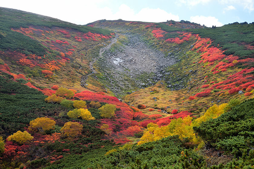 大雪山紅葉の旅 プチ縦走(後編) 2017/09/16_f0109977_12202135.jpg