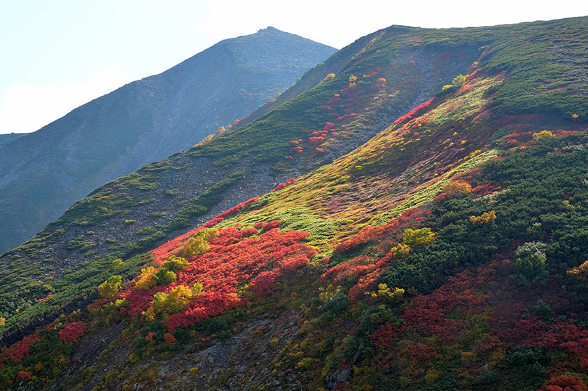 大雪山紅葉の旅 プチ縦走(後編) 2017/09/16_f0109977_12291380.jpg