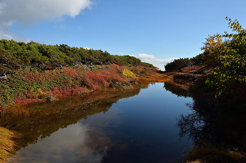 大雪山紅葉の旅 プチ縦走(後編) 2017/09/16_f0109977_12385180.jpg