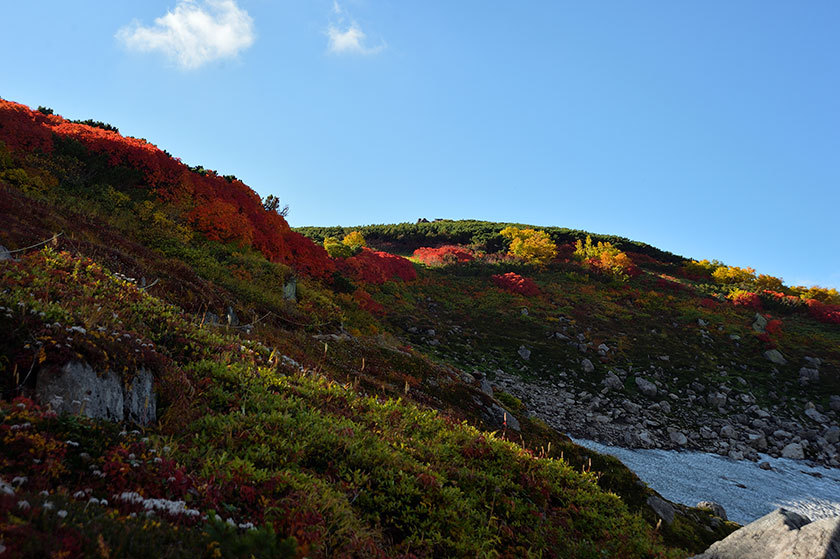 大雪山紅葉の旅 プチ縦走(後編) 2017/09/16_f0109977_12434637.jpg