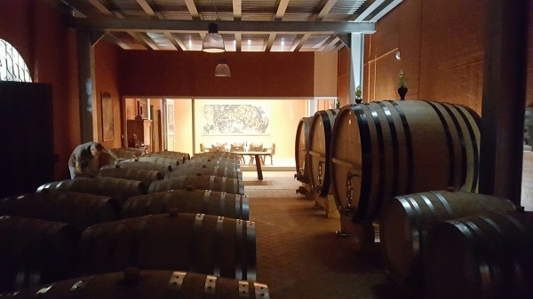 イチ押しワインの紹介〜アルトリヴェッロ 前編〜_a0209951_18402136.jpg