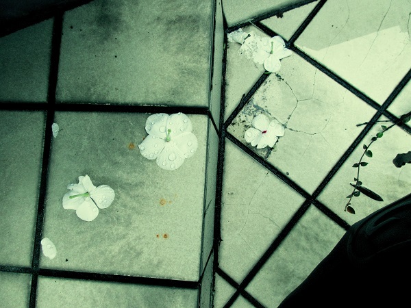 La Vie en Rose_c0351306_21374353.jpg