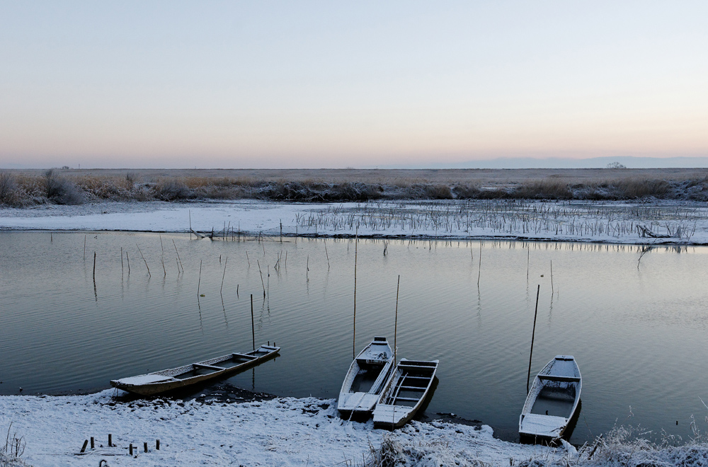 謹賀新年 2018_c0148401_9361618.jpg