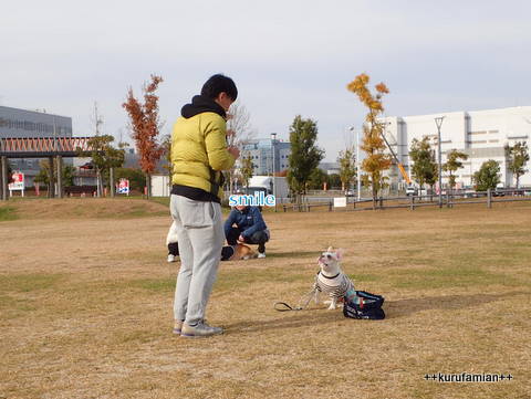 しつけ教室 お外編(^▽^)/_b0101116_12292530.jpg