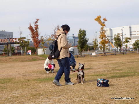 しつけ教室 お外編(^▽^)/_b0101116_12292595.jpg